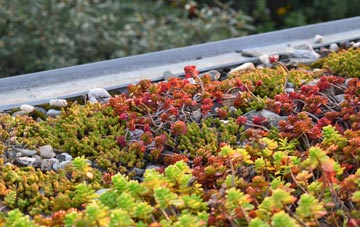 the cost of East Morden green roof installation