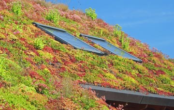 East Morden living roof systems