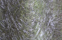 East Morden fibreglass roof work